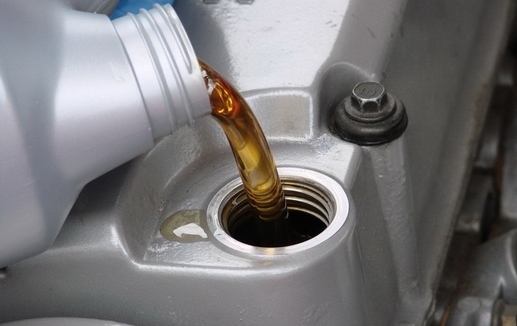 مصر: وصول 39 ألف طن زيوت من فرنسا إلى ميناء الإسكندرية