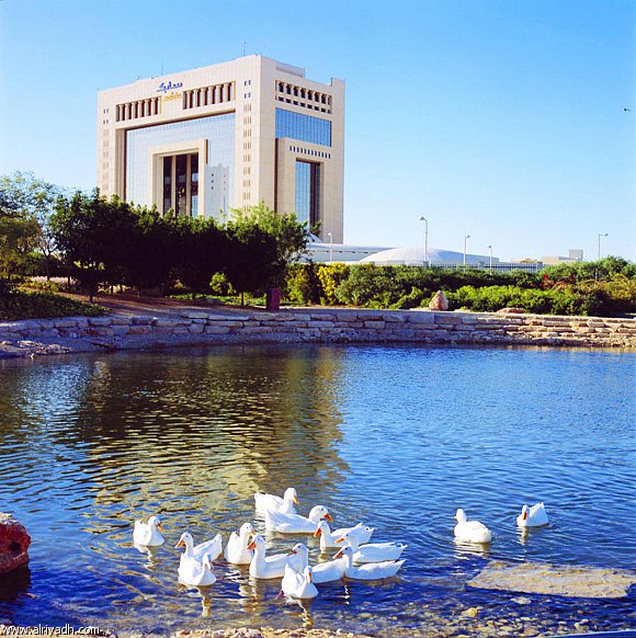 السعودية: رئيس (سابك) يطالب بفريق عمل لدفع عجلة التنمية في قطاع الصناعة التحويلية 