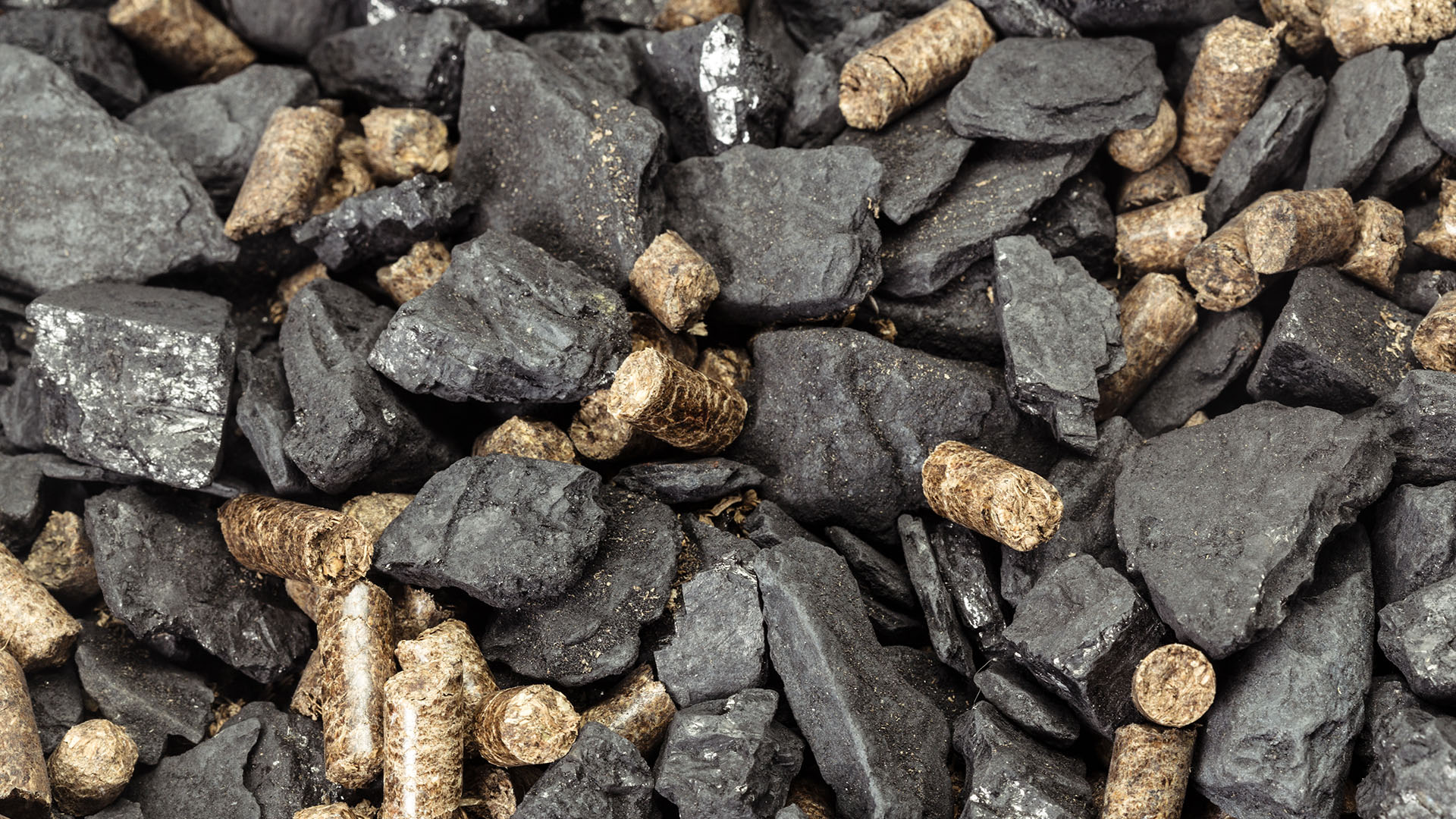 واردات الهند من فحم الكوك من روسيا تبلغ ذروتها في أبريل وفبراير من السنة المالية 2024-2024