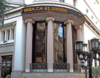 مصر: تصدر (الحديد والصلب) قائمة أسهم قطاع الموارد الأساسية الأكثر هبوطاً بالبورصة خلال 2015