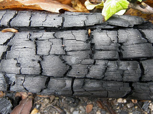 مصر: 20% مساهمة إنتاج فحم الكوك في النشاط الصناعي عام 2013