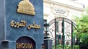 مصر : « الشوري » يعيد النظر في رسم إغراق الحديد لتخفيض سعر الطن