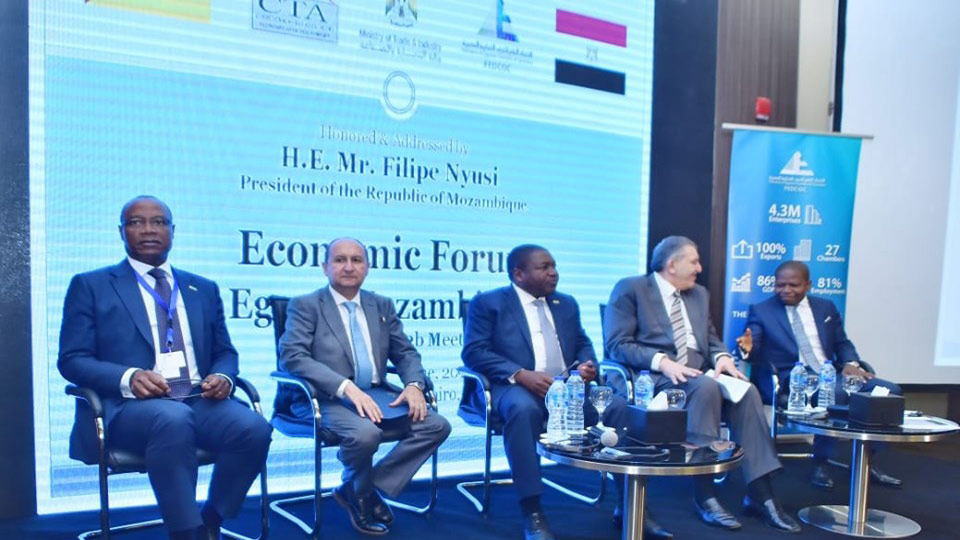 مصر: مباحثات للتعاون المشترك بين مصر وموزمبيق في التجارة والبنية التحتية والغاز