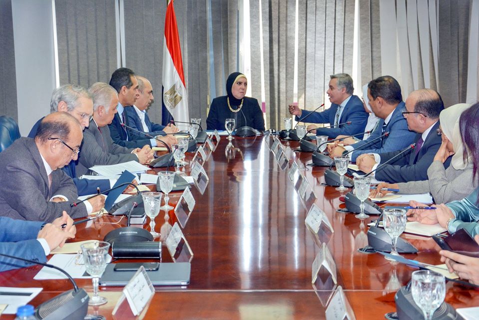 مصر: لقاءات مكثفة لوزيرة التجارة مع مجتمع المصدرين لبحث تداعيات كورونا