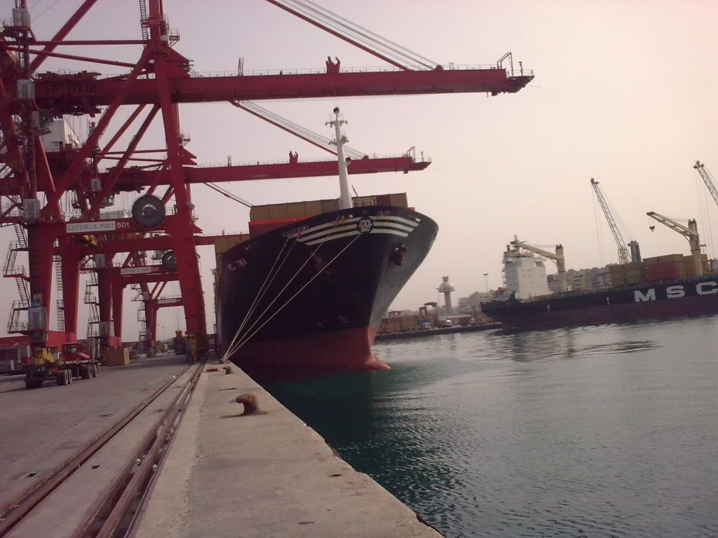 مصر : قناه السويس : تفريغ 55600 طن حديد خام بالادبيه