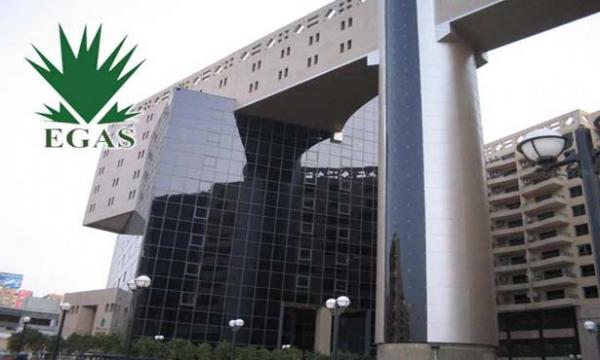 مصر: إيجاس: مناقصة لتوريد شحنتين من الغاز الطبيعي المسال إلى مصر أبريل القادم
